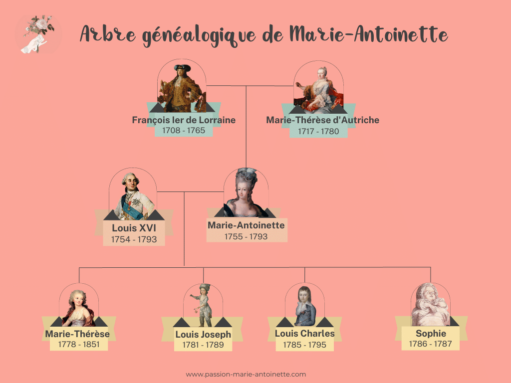 Arbre généalogique de Marie-Antoinette avec ses parents, son mari et ses 4 enfants.